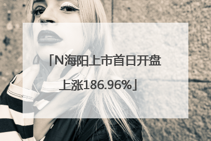 N海阳上市首日开盘上涨186.96%
